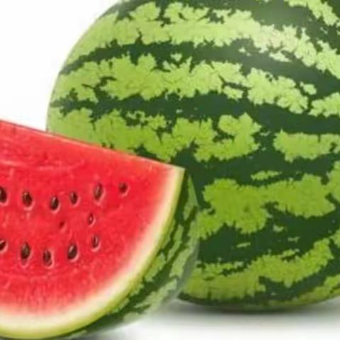 美术①班《美味的🍉》