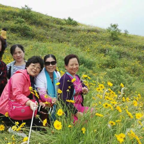 女人如花（2020年3月8日）
