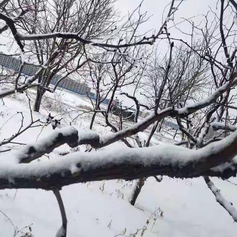 邂逅春雪，春雪化解