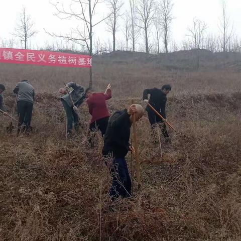 洛宁县景阳镇掀起义务植树高潮