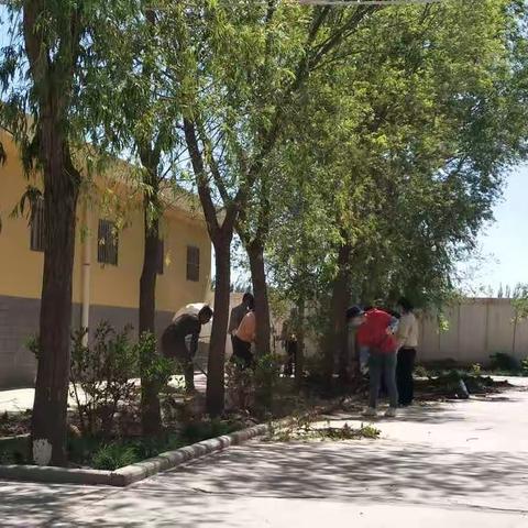 疫情防控不松劲、绿植美化不误时         小洪沟完小开展绿化校园活动