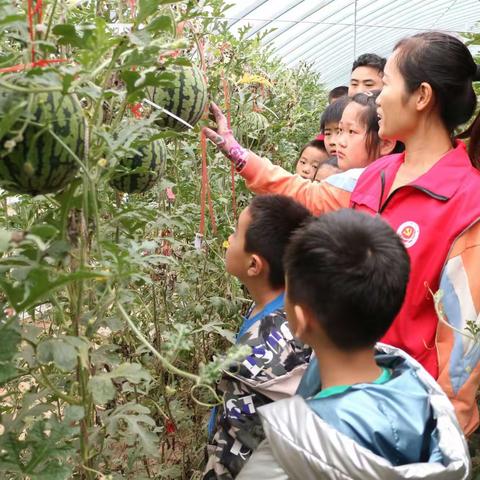【榆山街道青工委】亲子志愿  走进自然——榆山街道六一儿童节系列活动（二）