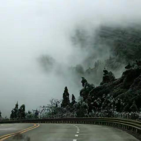 井冈山美景——陈老师作品