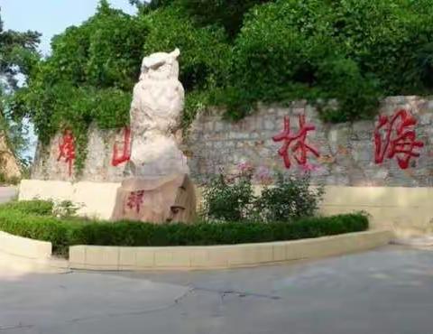 公园二零一八年十月九日下午长岛林海公园（三）