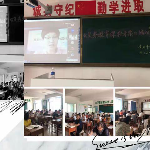 “聚焦新课程，学习新理念，拓展新思路”——凌云中学《义务教育课程方案2022版》解读培训活动