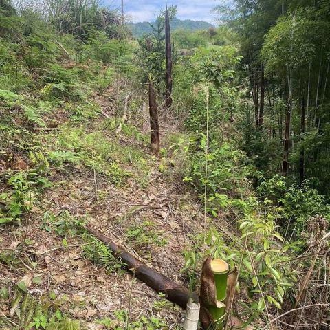 尚湖所周动态（4月22—28日）
