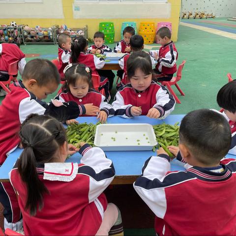 “浓浓野火饭，暖暖劳动心”——文华幼儿园中一班