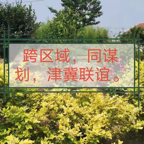 跨区域，同谋划，津冀联谊