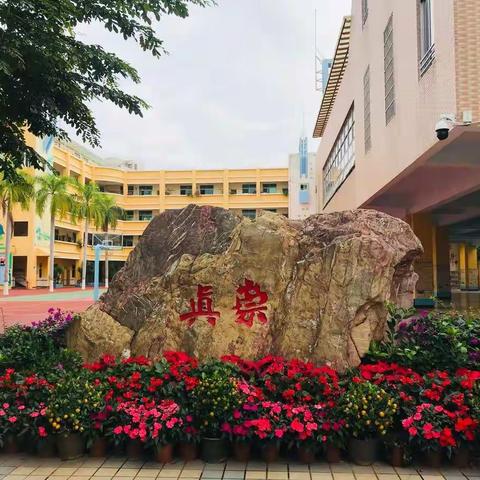 停课不停学，我们在行动——记海秀中心小学语文科组线上学习活动（六）