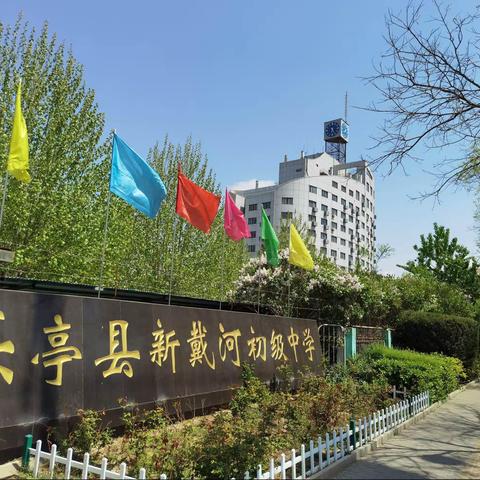 守护心理健康，绽放青春风彩——新戴河初级中学心理健康教育专题团、队日讲座