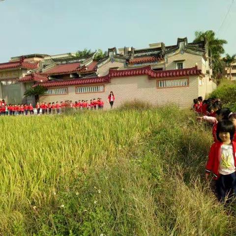 我们秋游了🌾🌾🌾🌾🌾田野风光好✌✌✌