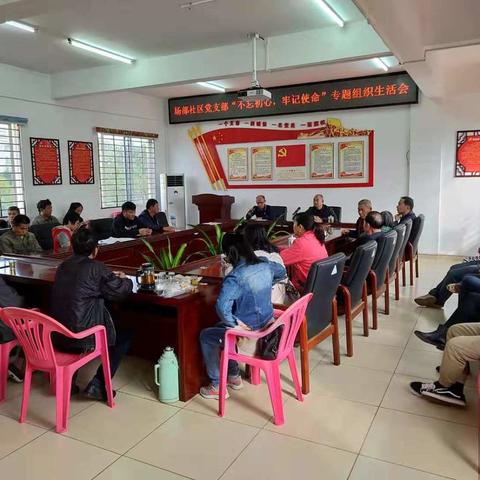 场部社区党支部召开“不忘初心、牢记使命”专题组织生活会