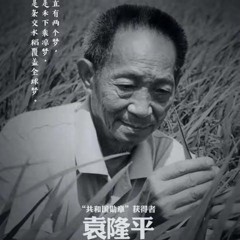 “禾下乘凉梦 送别袁隆平”