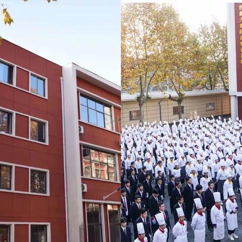 中式烹饪师免费培训开始啦