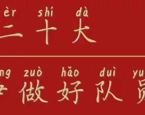 沙河沿镇河南学校喜迎二十大·争做好队员活动