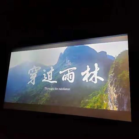 穿越雨林观后感——三亚市海棠区林旺南幼儿园林旺北分园