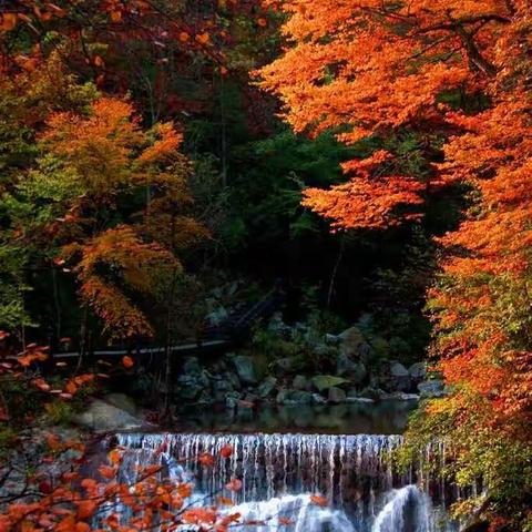 知行合一，学用结合，促进学生动手能力——2018优秀乡村综合实践活动骨干教师培训班反思（一）