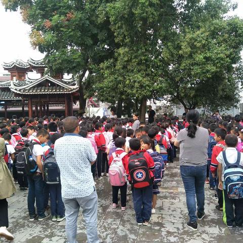 板小谢蓉的美篇