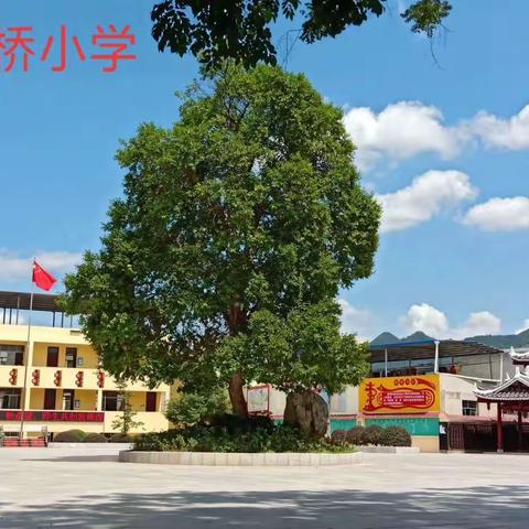 教育联盟促成长，百花齐放展风采