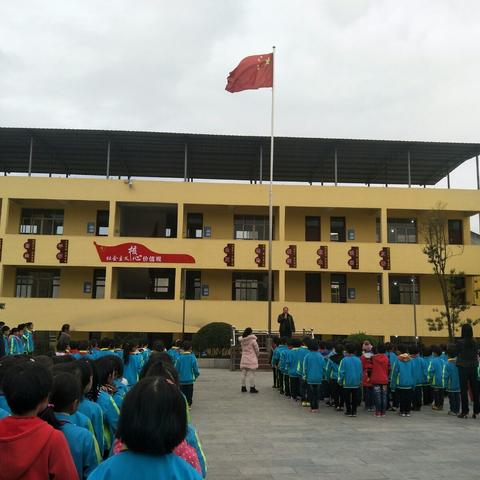 板桥小学“我为家乡捐棵树，童心共建春晖林”捐款活动