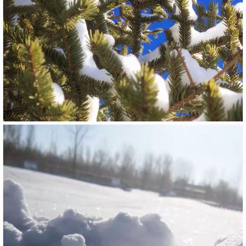 雪满校园，扫雪暖心——东明学区逸夫小学清雪活动