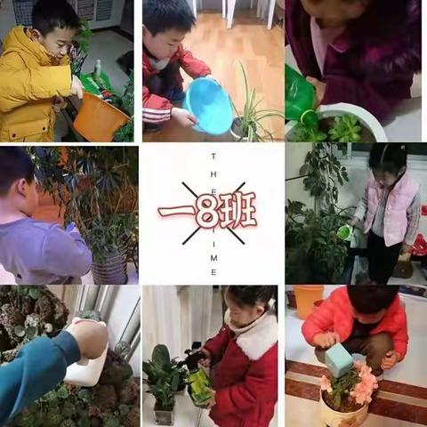 亲近绿色植物         争做闪光少年          ——方城县第五小学南校区3.12植树节主题活动