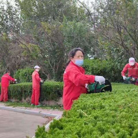 巾帼不让须眉的新时代矿服人