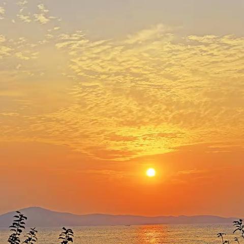 [诗中情景]我的暑假，我的语文