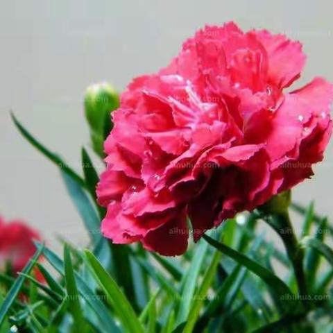 今天，因为你们而温暖！