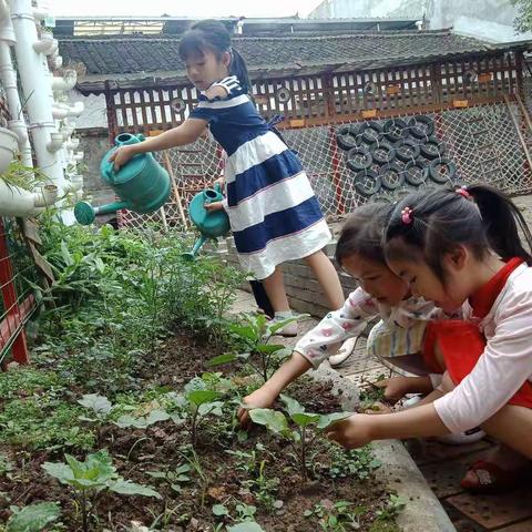 平乐进舟&中心幼儿园||  “我劳动、我快乐”劳动节主题活动