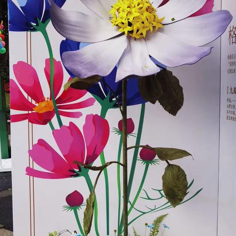 广州第30届园博会