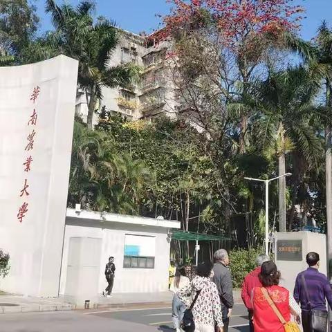 华农晚春觅花踪