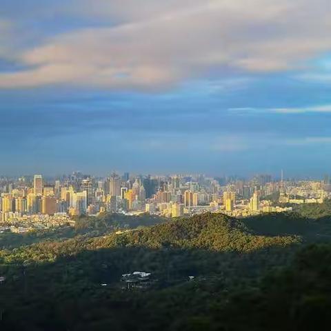 疫情期间的广州白云山记录