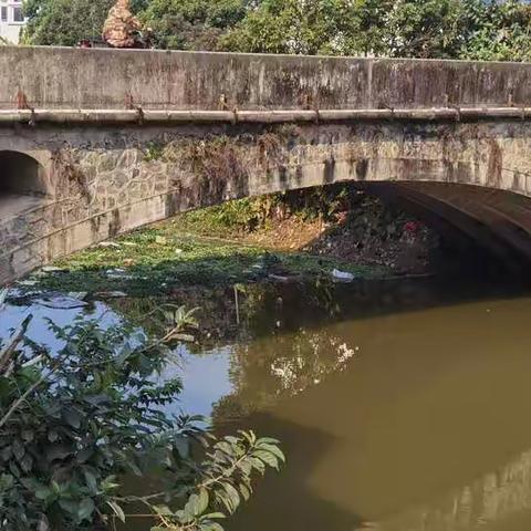 悠悠半世纪，石湾寻老桥