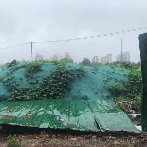 "烟花"来袭围挡破损，全速排查减少隐患