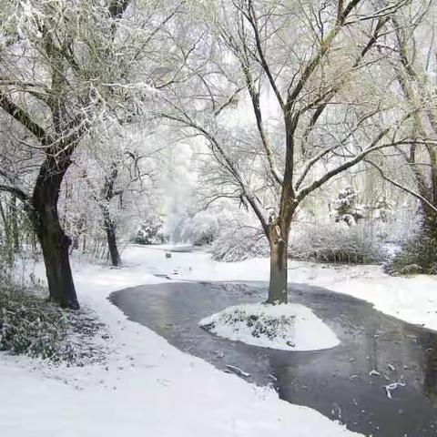 七绝·春雪