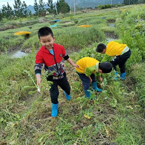 大三班《大三班的美好时光》一一连州市东陂镇中心幼儿园