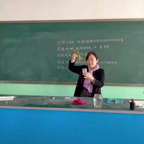 马落堡小学四年级科学课——证明植物的根有吸收水分的作用