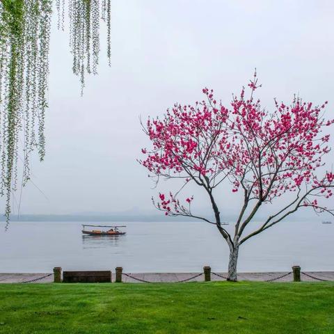 人勤春早争朝夕，策马扬鞭正当时。——洪州汇仁学校一年级语文组活动记录