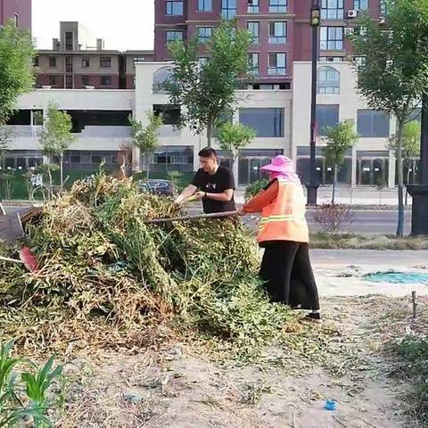 祥符区积极开展城乡接合部环境卫生整治