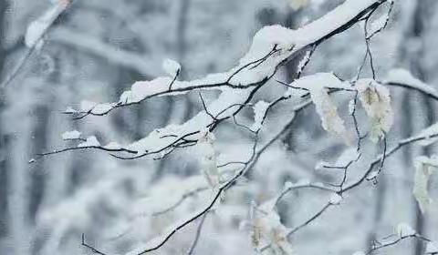 卓楼小学 Ι 关于近期低温雨雪天气注意事项致家长一封信