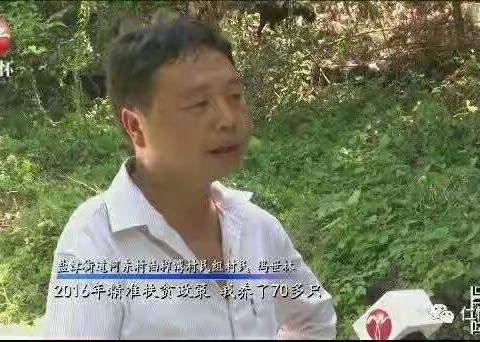 接受仁怀电视台采访有寄