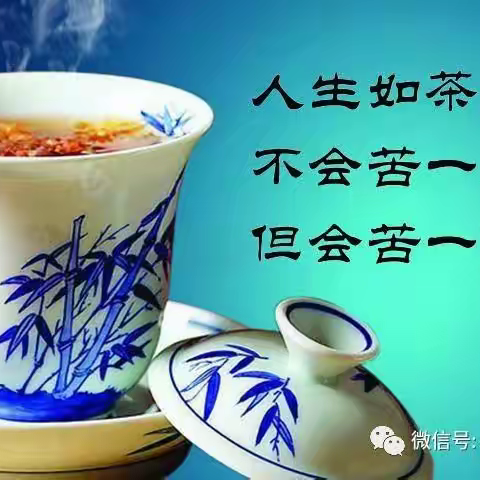 《我和一壶茶的缘分》征文：                               三 才 杯 泡 茶