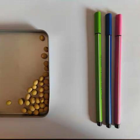 唐山镇兴旺幼儿园中一班专注力小游戏推荐