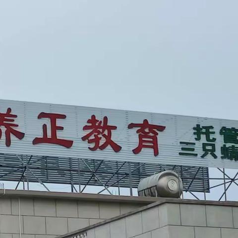 养正.三只蜻蜓托管春季招生开始报名啦