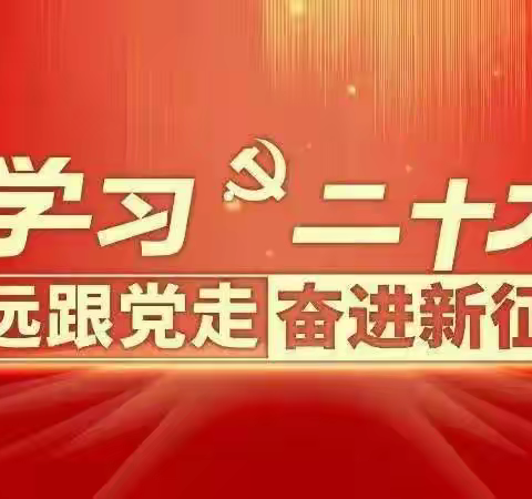 学习二十大争做好队员