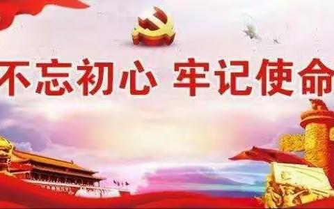 西苑社区龙辰苑党支部《汇聚近邻合力  推动小区治理》