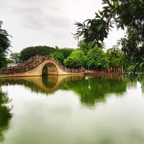 《一场秋雨一场情》