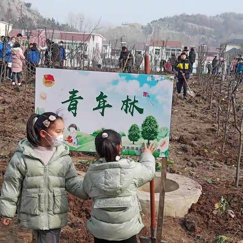 义务植树:白蚬小学在行动