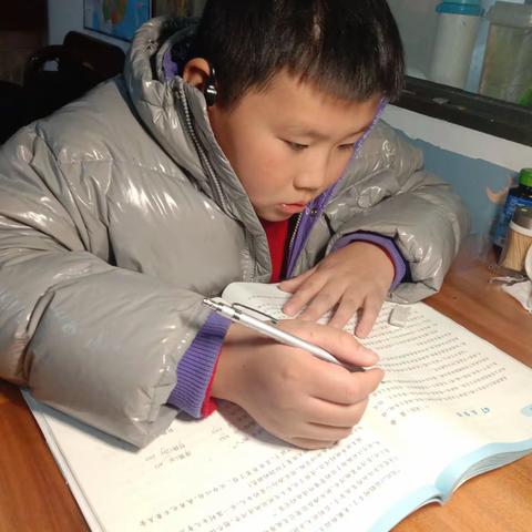 快乐的寒假生活